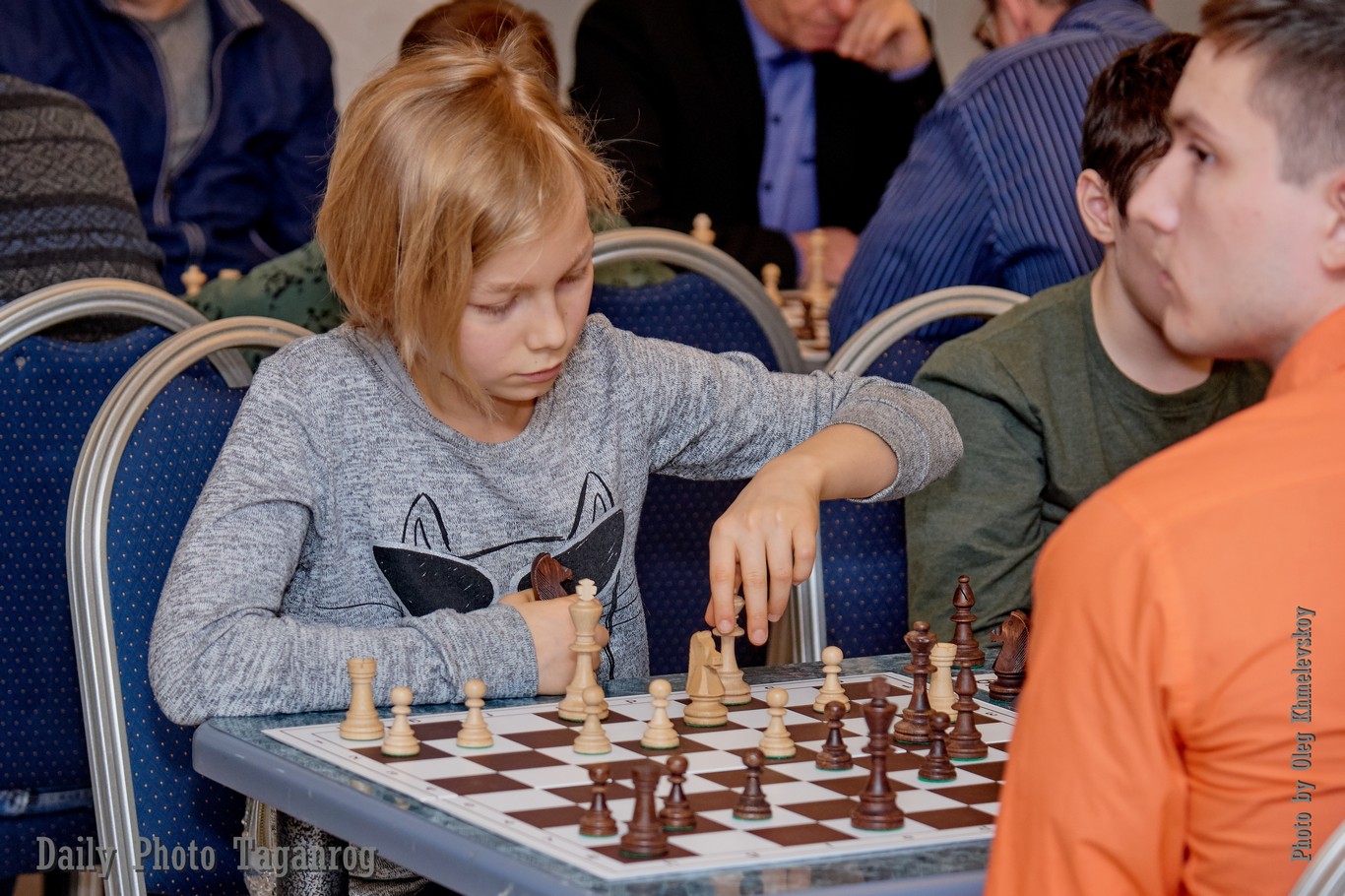 Шахматная федерация волгодонск