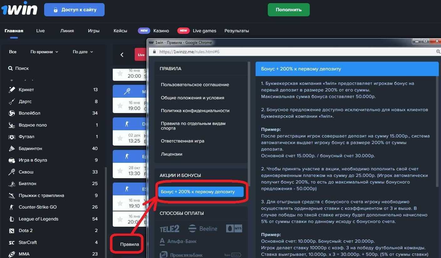 Букмекерская Контора 1вин: Надежный Бк